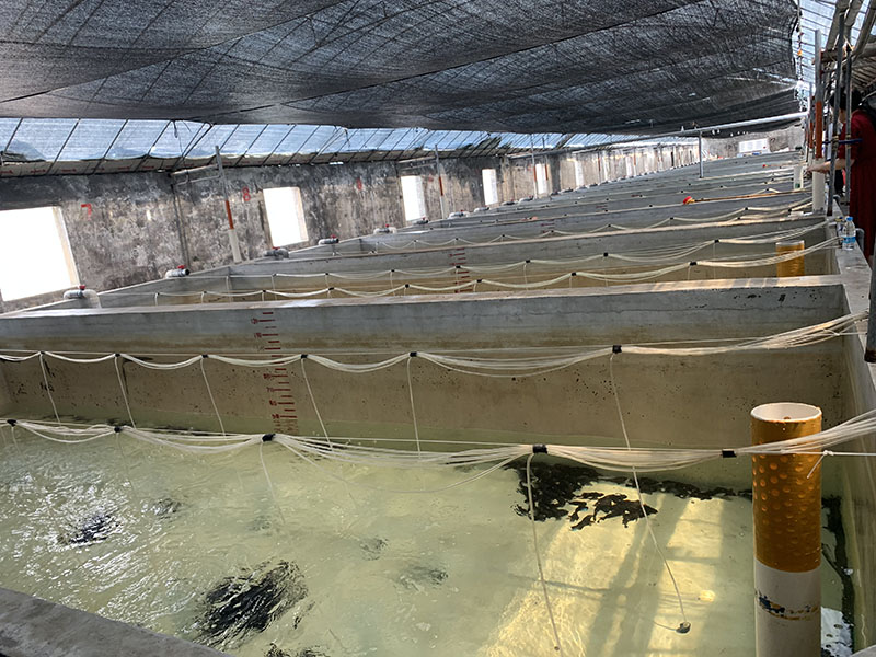 灰色水性養殖漆