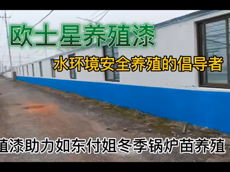 歐士星養(yǎng)殖漆助力如東付姐冬季鍋爐苗養(yǎng)殖，倡導(dǎo)水環(huán)境安全養(yǎng)殖，歐士星養(yǎng)殖漆在行動(dòng)。