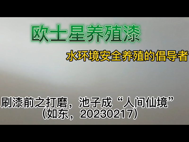 刷漆前之打磨，清理池子不平整的地方，有打磨的地方池子一片懸浮灰塵，仿佛“人間仙境”（如東，20230217）。打磨之后再刷歐士星養(yǎng)殖漆，效果更好。