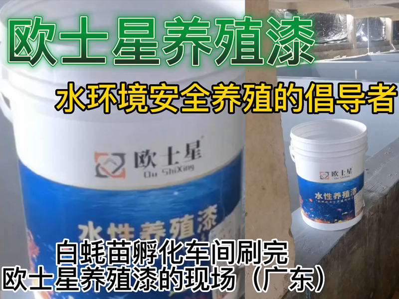 白蠔苗孵化車間刷完歐士星養殖漆的現場（廣東），倡導水環境安全養殖，歐士星養殖漆在行動。
