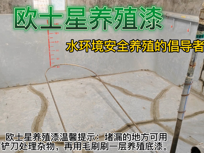 歐士星養(yǎng)殖漆溫馨提示：堵漏的地方可用鏟刀處理雜物，再用毛刷刷一層養(yǎng)殖底漆。歐士星養(yǎng)殖底漆專門用在新池子或者池子堵漏處，封閉水泥的堿性物質，固化池子，強化池子的作用。等養(yǎng)殖底漆干后再整池子刷養(yǎng)殖漆效果更佳。倡導水環(huán)境安全養(yǎng)殖，歐士星養(yǎng)殖漆在行動。