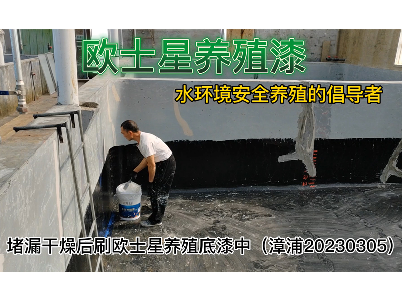 廈門歐士星提供歐士星養殖漆，堵漏，打磨，刷漆等，春暖花開時節，修整修整養殖場，養殖更順利。堵漏干燥后刷歐士星養殖底漆中（漳浦20230305）