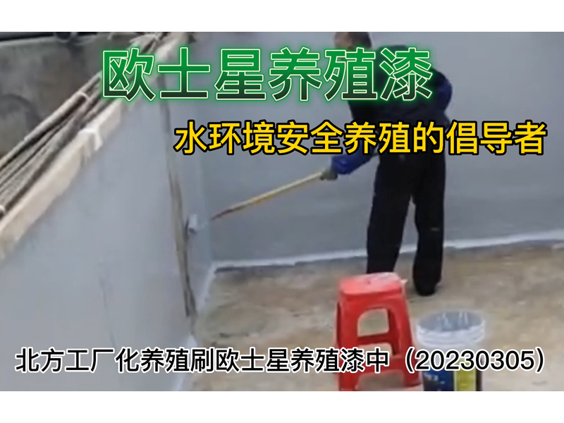 倡導水環境安全養殖，歐士星養殖漆在行動，北方工廠化養殖刷歐士星養殖漆刷漆中，歐士星養殖漆刷了之后環境改善，養殖更順利