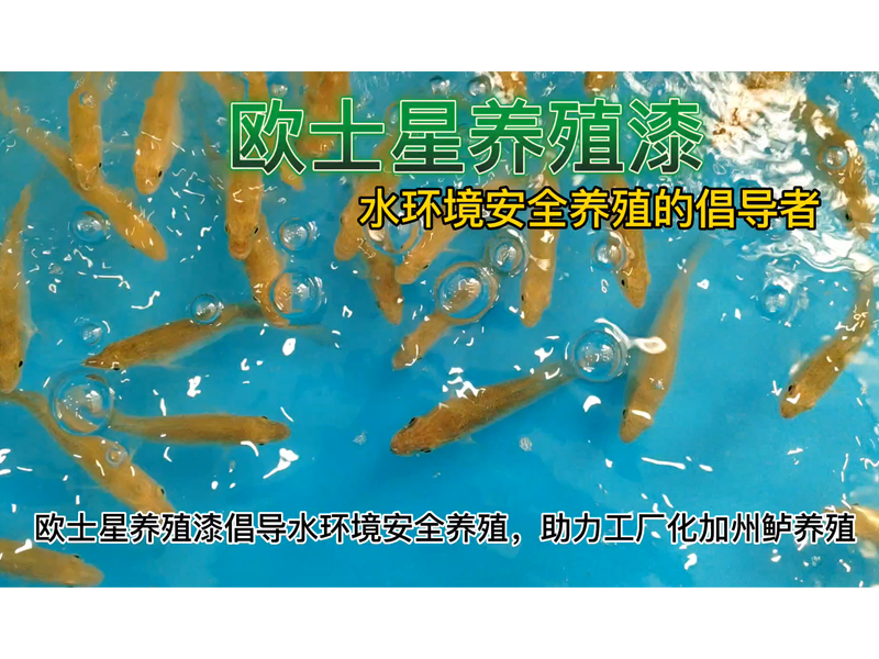 歐士星養殖漆倡導水環境安全養殖，助力工廠化加州鱸養殖，養殖漆顏色可選